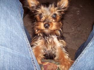 Abbie_Before_Bath