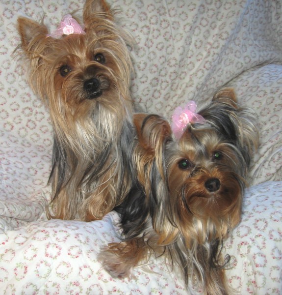 Abbie_and_Lucy_1