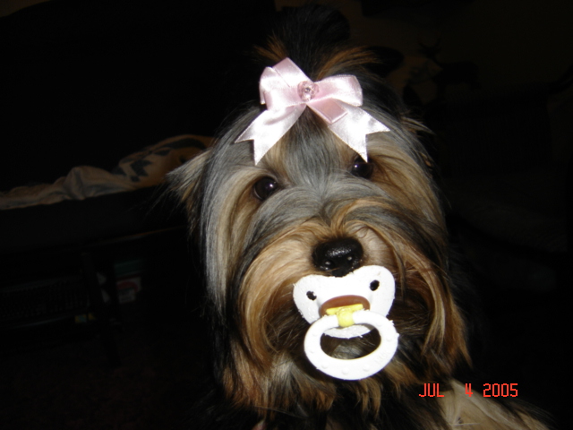 Album_2_075