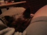 Allie_lap_face