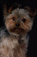 Andy