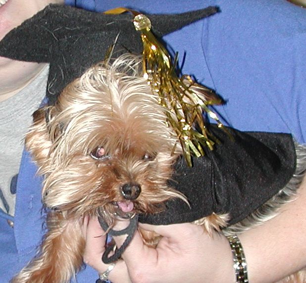 Angel_Graduation