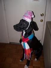 Asia_going_to_see_santa