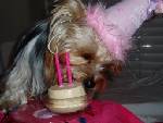 BIRTHDAY_GIRL