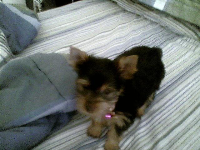 BaBe_GiRl_posing_for_the_camera