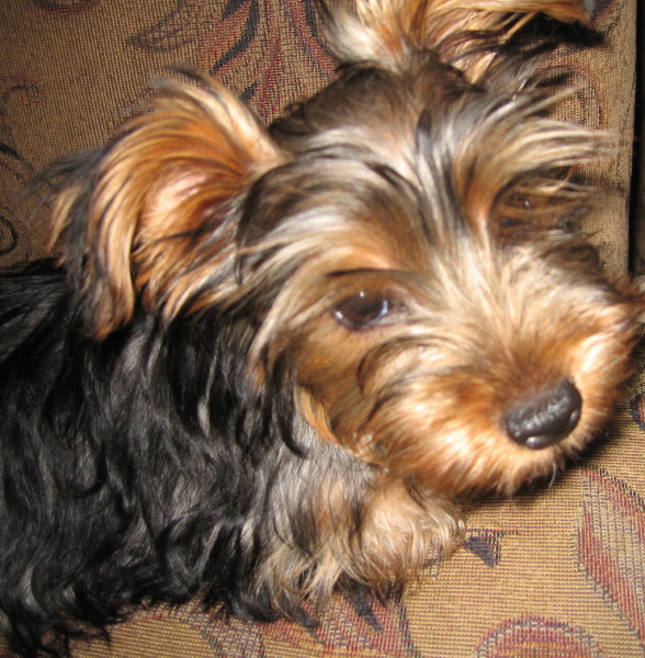 BabyBella0001