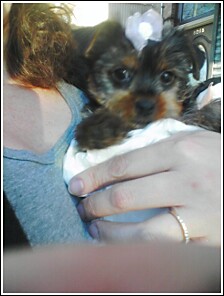Baby_Lola