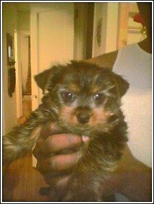 Baby_Lola_2