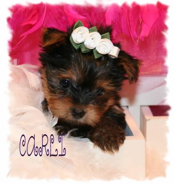 Baby_Nala_21