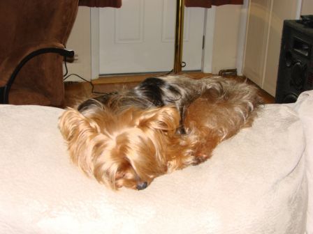 Baby_napping