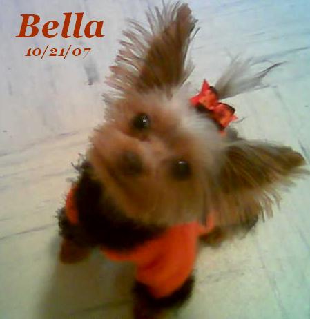 Bella102107