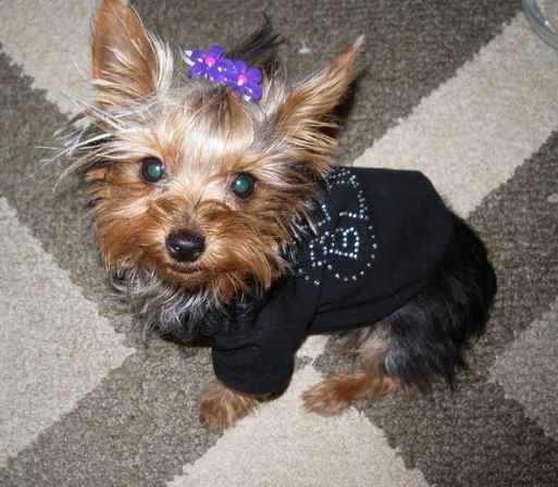 BlingBling2