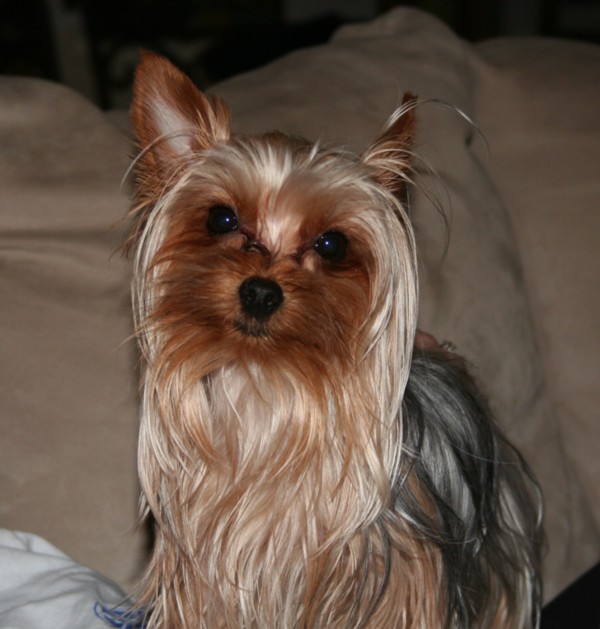 Boo_1-22-07_2
