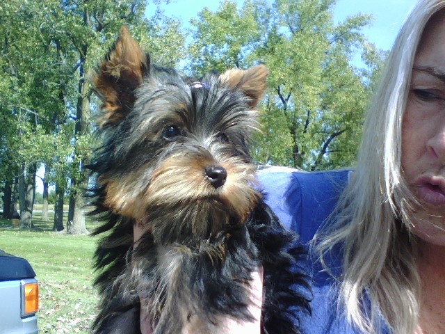 Brandy1