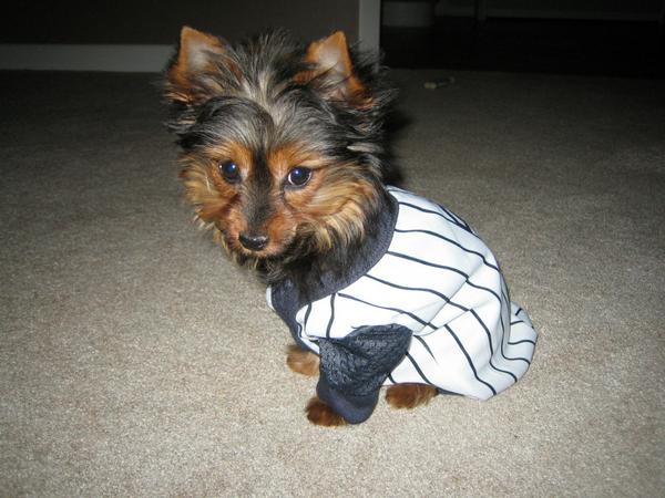 Brinkley3