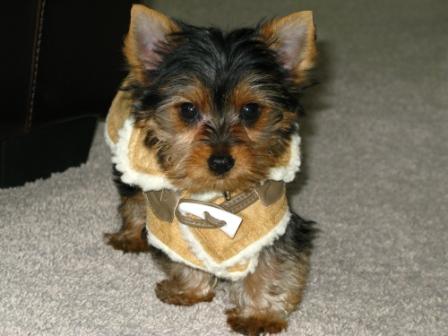 Buster_home_039
