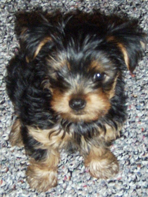 Carter_May_21_2005