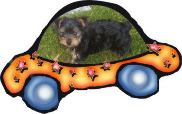 Carter_in_a_car