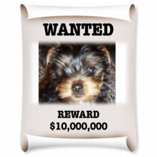 Carter_wanted