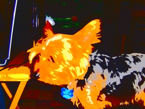 Cartoon_Champ