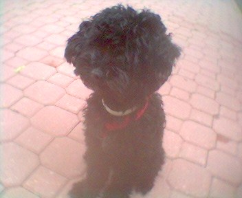 Charlie_outside_1