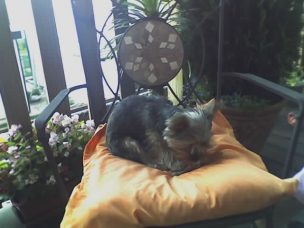 Chiara_7-3_