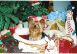 Christmas1