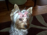 Christmas_Bow