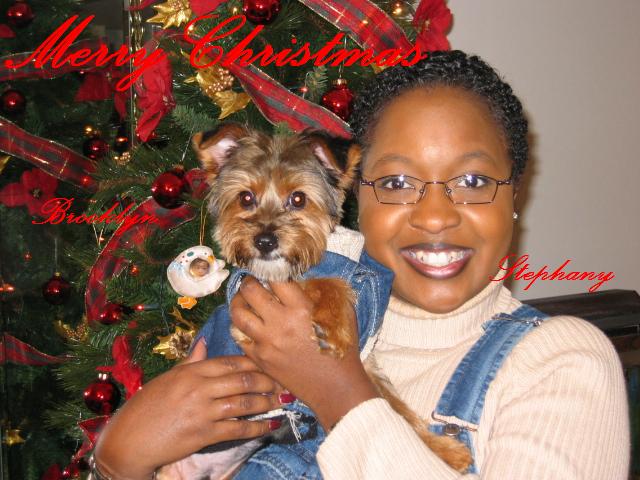 Christmas_photo