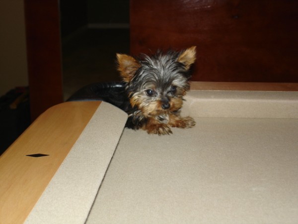ChueyResize2