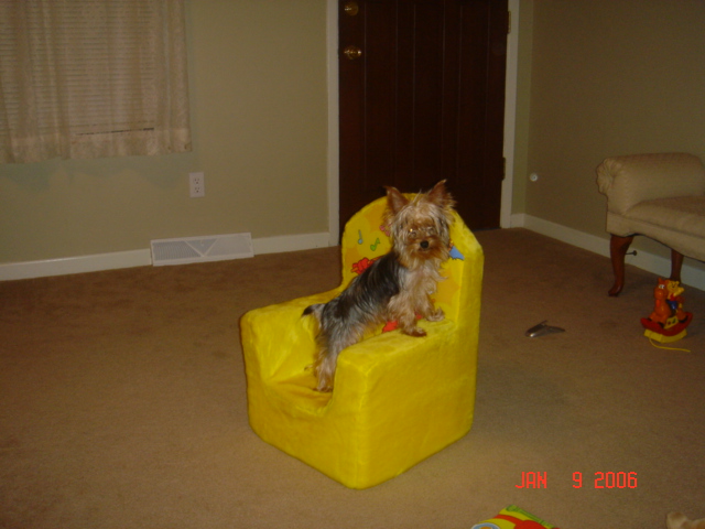 Ciera_in_Hunter_s_chair