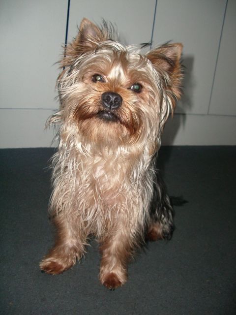 Coco1_1_