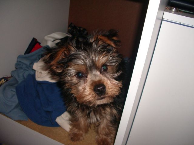 Coco3