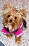 Copy_of_Pretty_in_Pink2