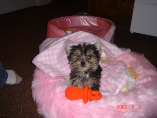 Crystal_Mystic_Zoey_0281
