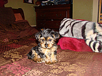 DSC00516