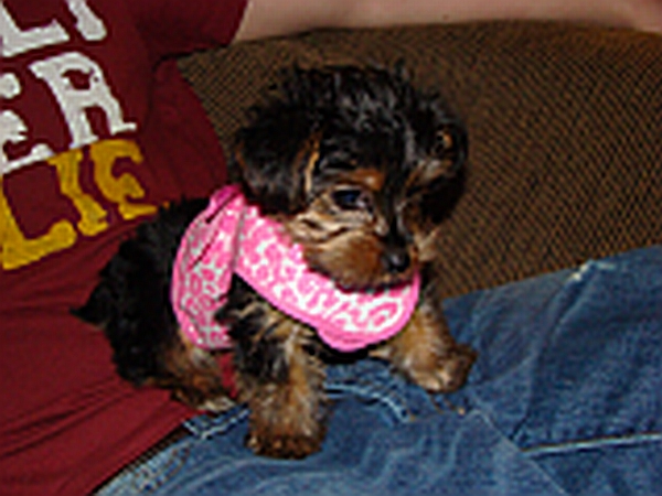 DSC005481