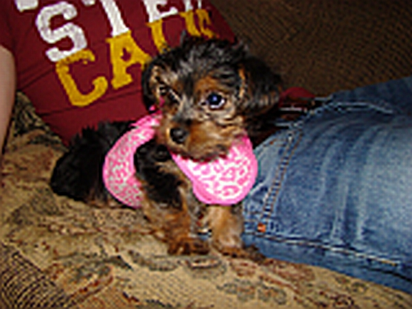 DSC00549