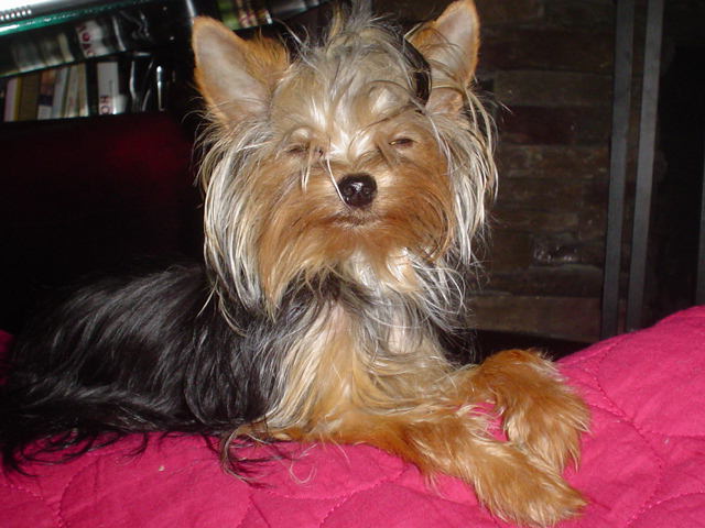 DSC02004