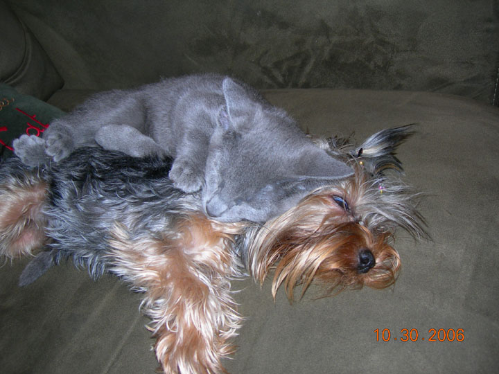 DSCN19140001DSCN1914