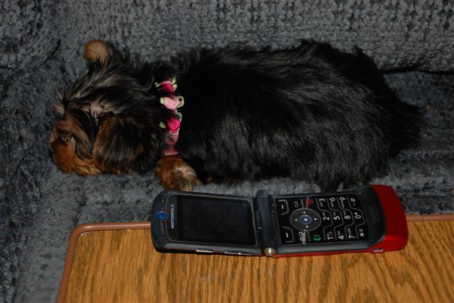 DSC_0086_Small_