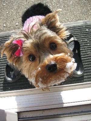 Daisy123