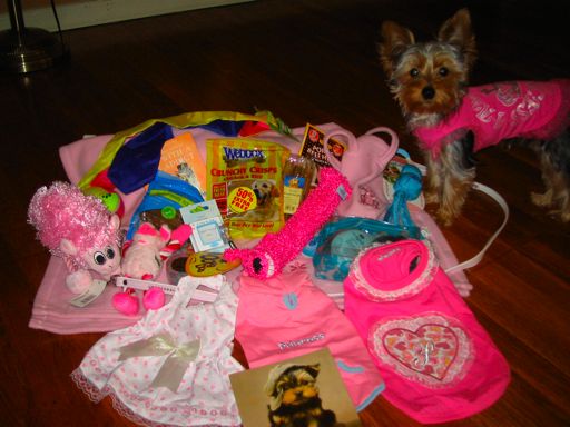 Daisy1stGE