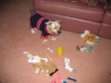 Damn_Lotta_Toys_Resized