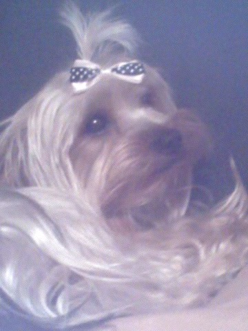 Deja_Posing