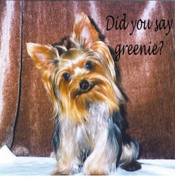 Did_you_say_greenie