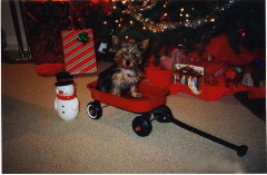 Diva_s_first_Xmas_2001