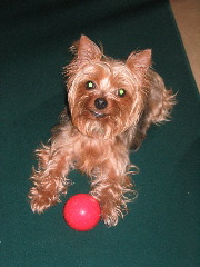 Diva_with_Red_Ball