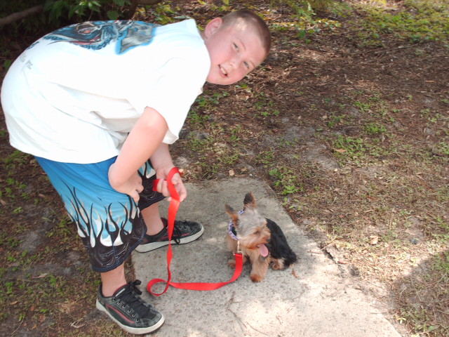 Dogs_002