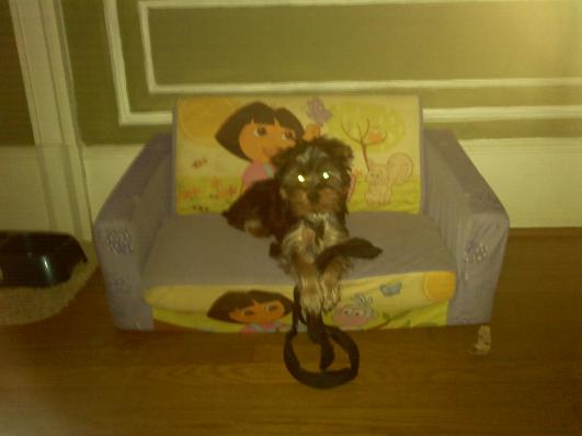 Dud_the_lil_man